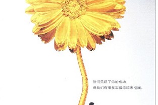 一吨等于几千克 广州海珠租房子
